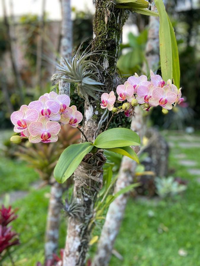 Casa Nostra Boutique Hotel 帕拉蒂 外观 照片