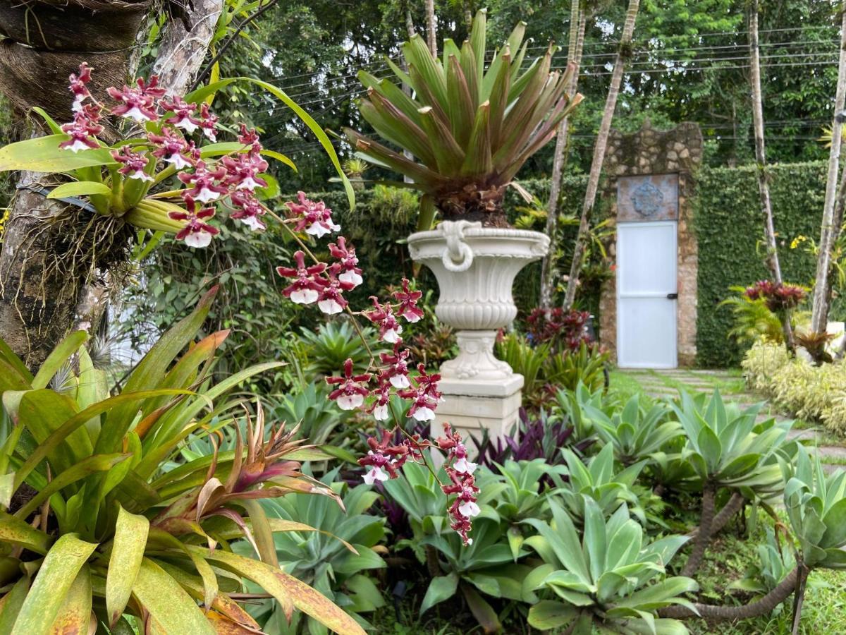 Casa Nostra Boutique Hotel 帕拉蒂 外观 照片
