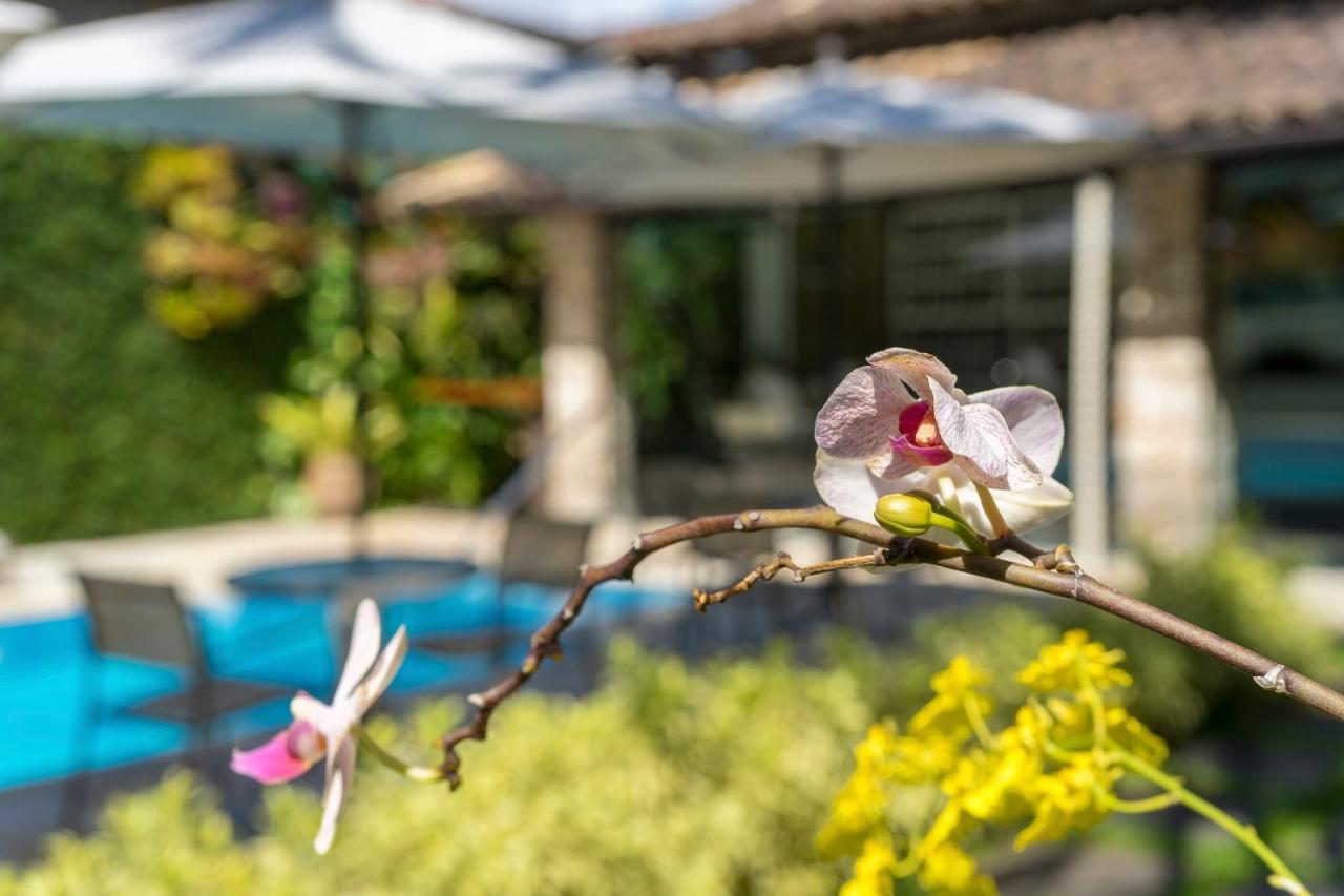 Casa Nostra Boutique Hotel 帕拉蒂 外观 照片